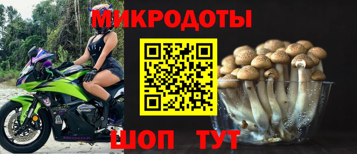Псилоцибиновые грибы Psilocybine cubensis  Вход с VPN  Щёкино 