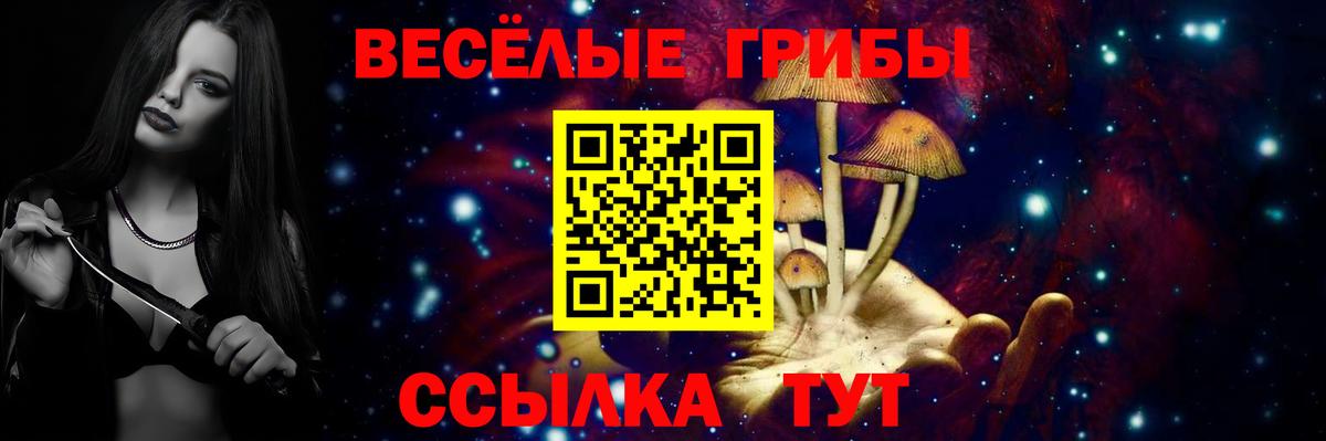 Псилоцибиновые грибы ЛСД Щёкино