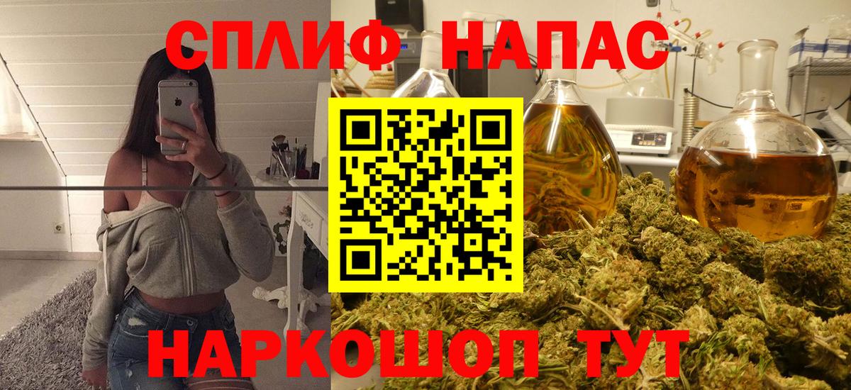 Каннабис гибрид Щёкино